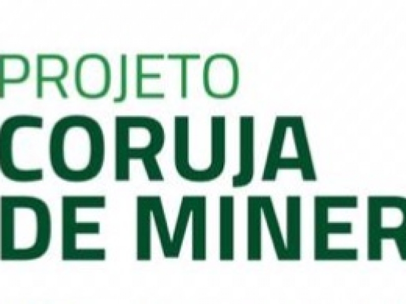 PROJETO CORUJA DE MINERVA