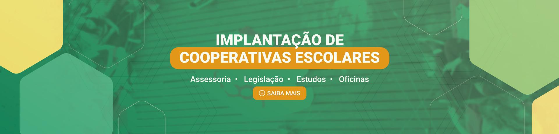 Implanta��o de cooperativas escolares